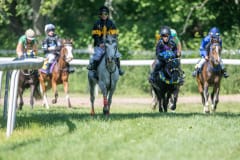 20230617-113255-DSC_7925