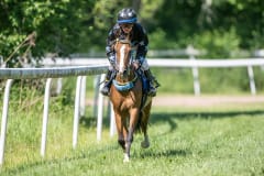 20230617-113317-DSC_8035