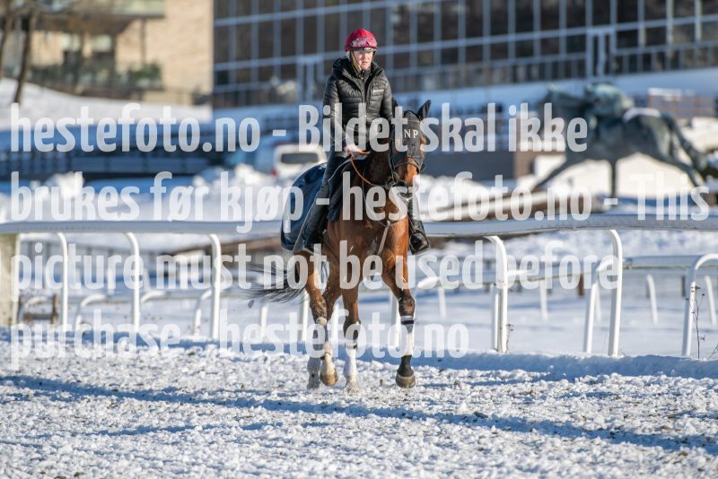 20240217-122156-DSC_4227