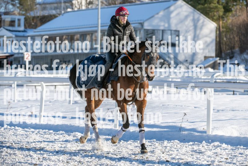 20240217-122205-DSC_4265